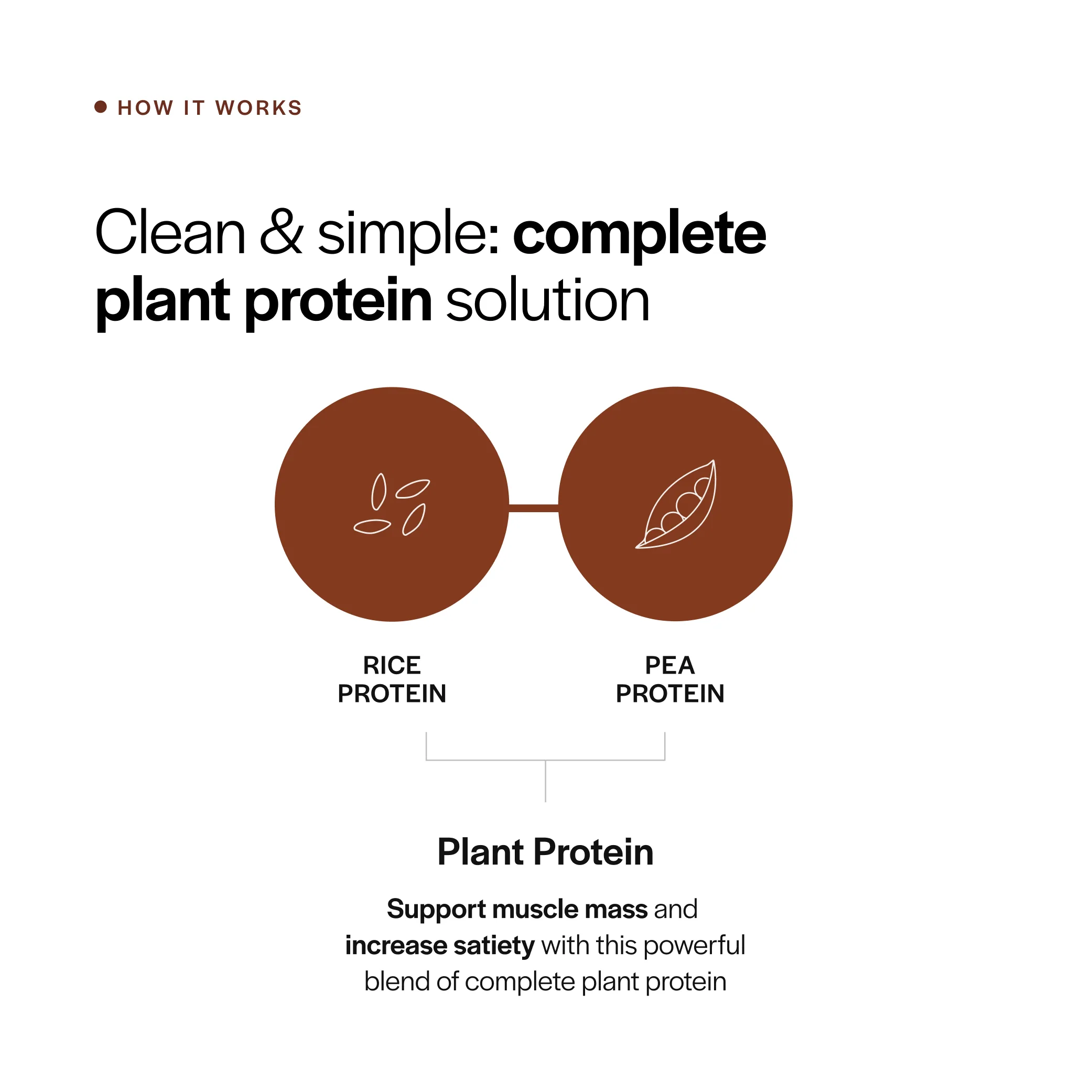 Everyday Plant Protein - Image 5