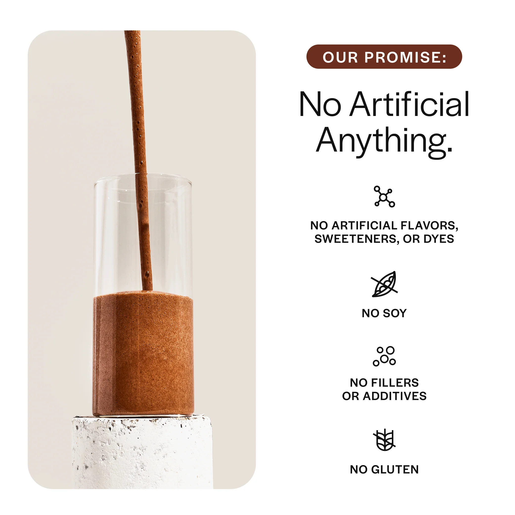 Everyday Plant Protein - Image 9