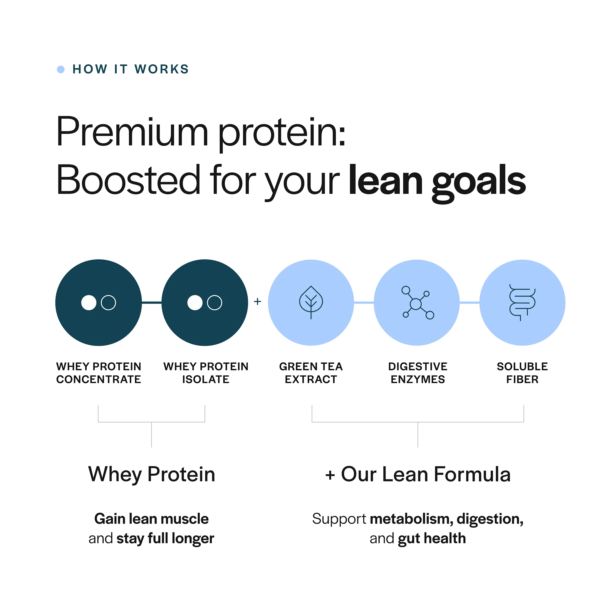 Lean Whey Protein - Image 3