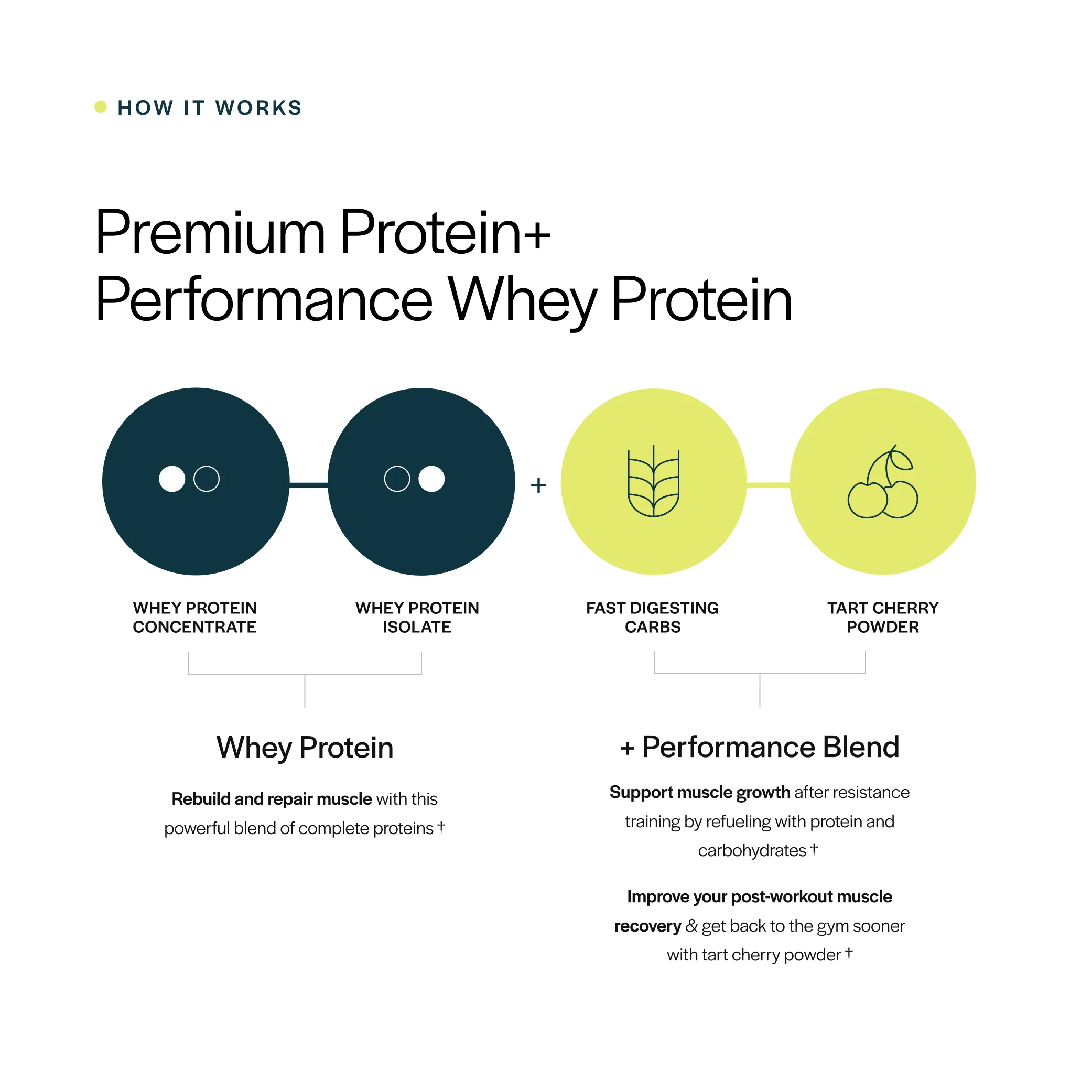 Performance Whey Protein - Image 3